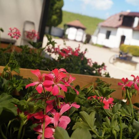 Hotel A Hostinec Talsky Mlyn Žďár nad Sázavou Extérieur photo